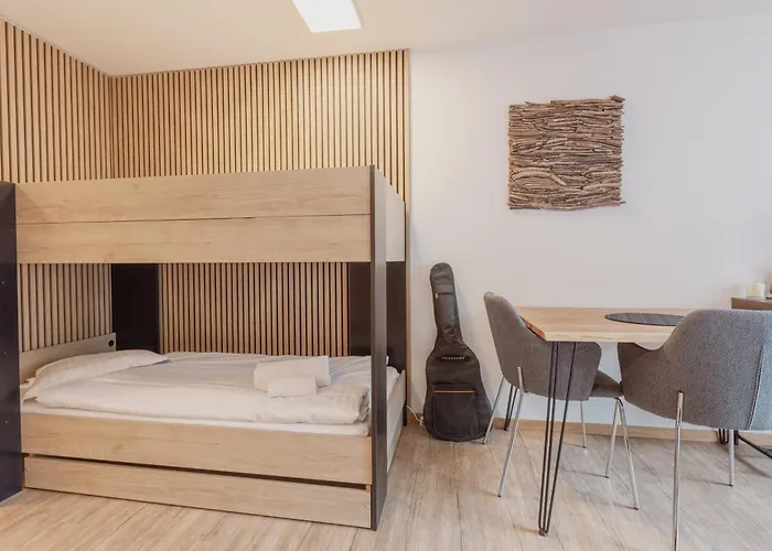 Au Centre De Apartament